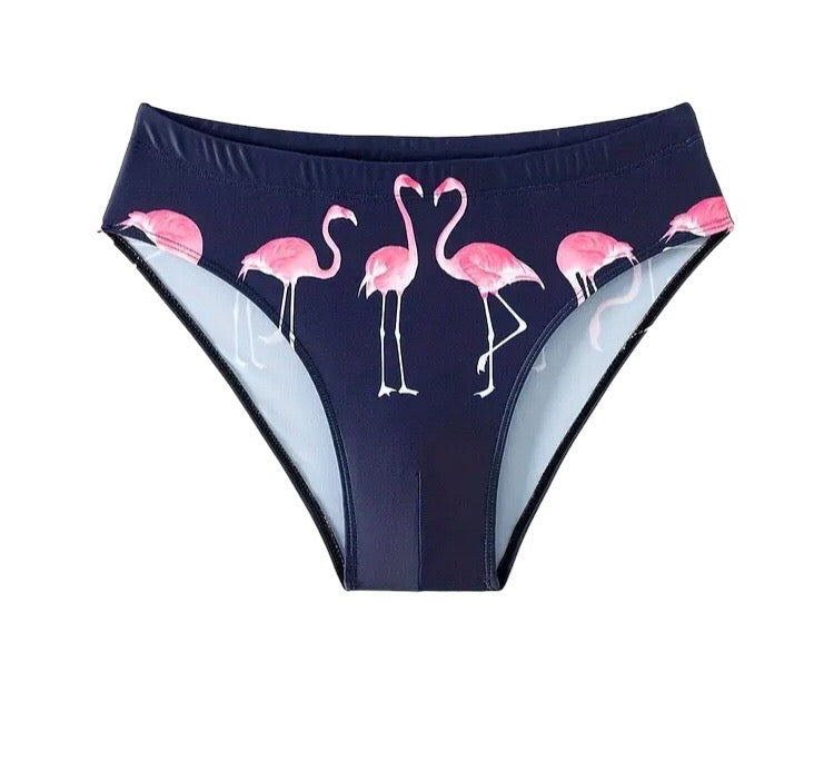 The Great Flamigo Speedo