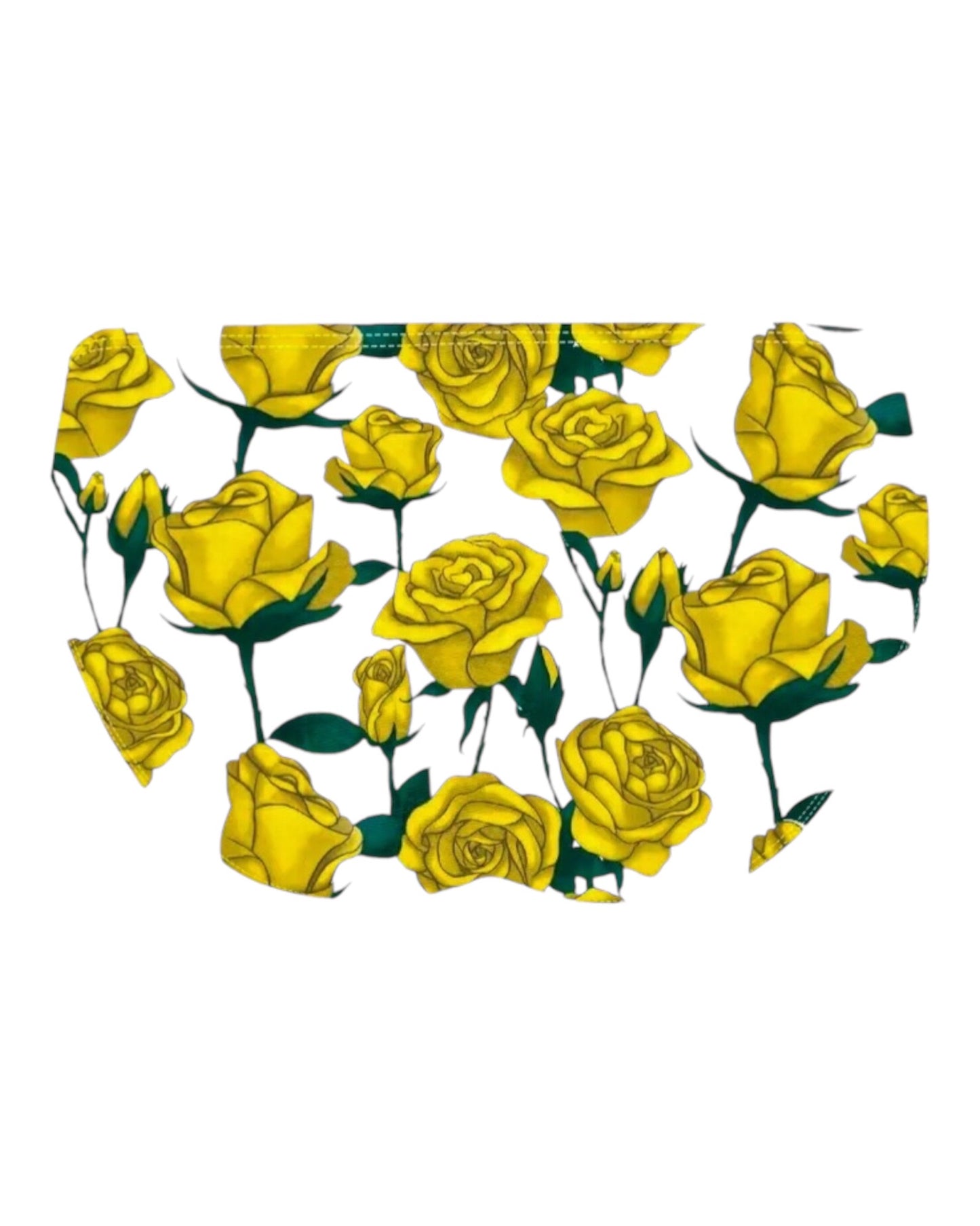 Imaginary Rose Swimwear