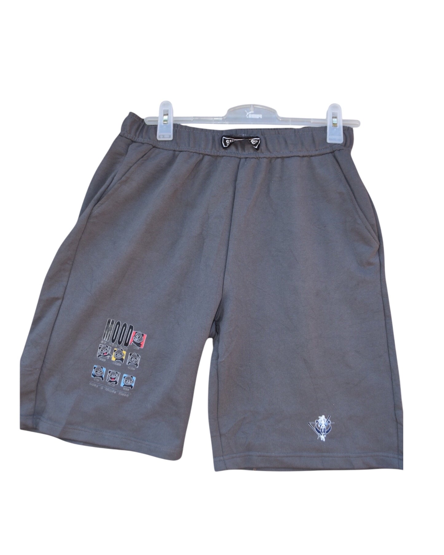 The beast Merchandise -Grey Shorts