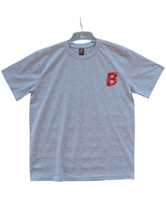 Grey T-Shirt -The beast Mechardice