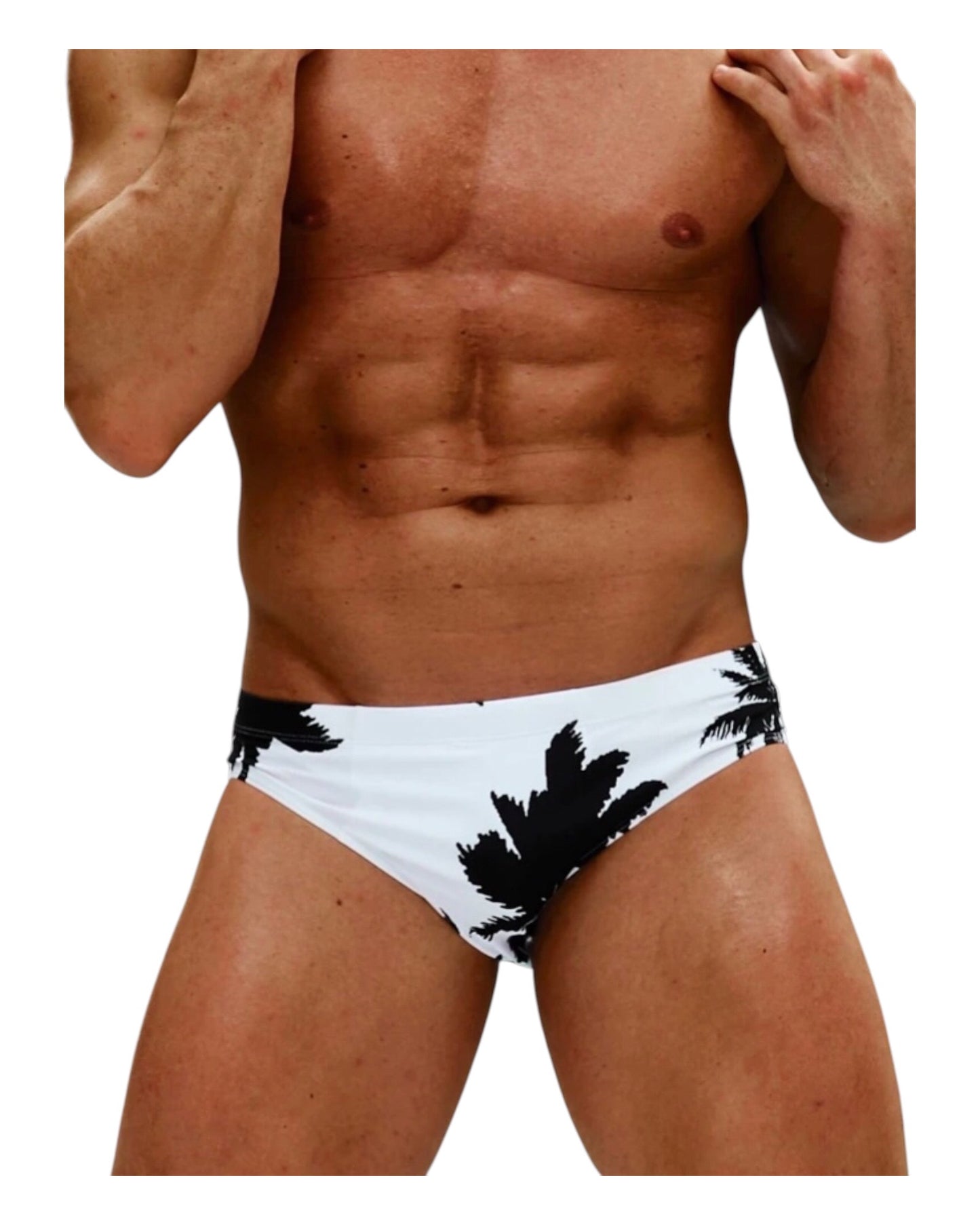 Plam tree Swim briefs