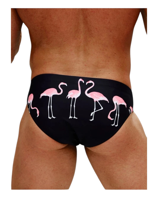 The Great Flamigo Speedo