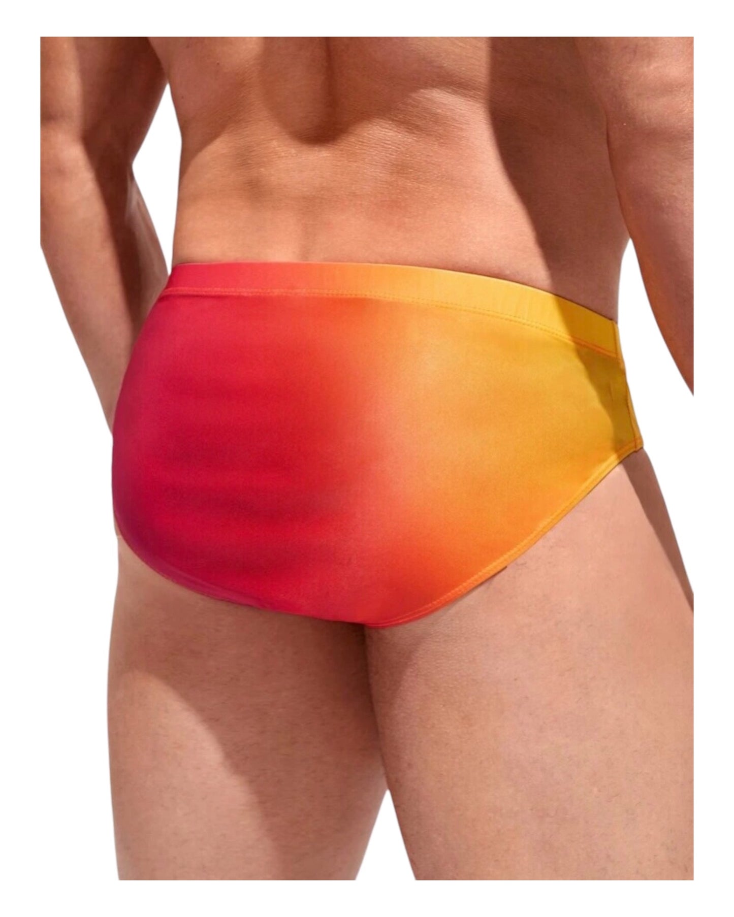 Ombre Swim Brief Solid Racer Brief